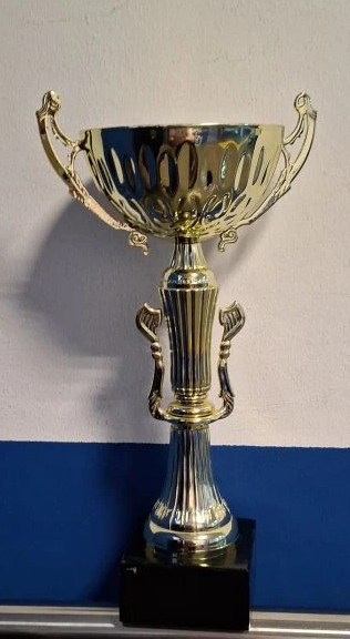 Кубок за 2 место по волейболу